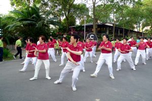 Démonstration de tai-chi