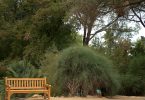 jardin Montjuic