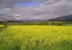 La Cerdanya