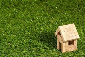 petite maison en bois dans l'herbe
