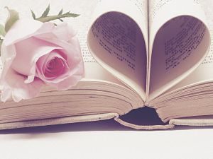 pages de livres en forme de coeur avec une rose