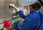 femme microbiologie