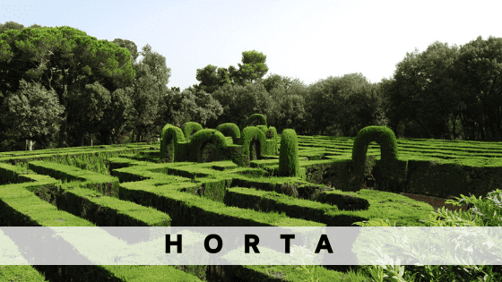 Rent an apartment in  Horta